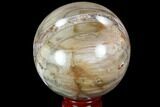 Colorful, Petrified Wood Sphere - Madagascar #98465-1